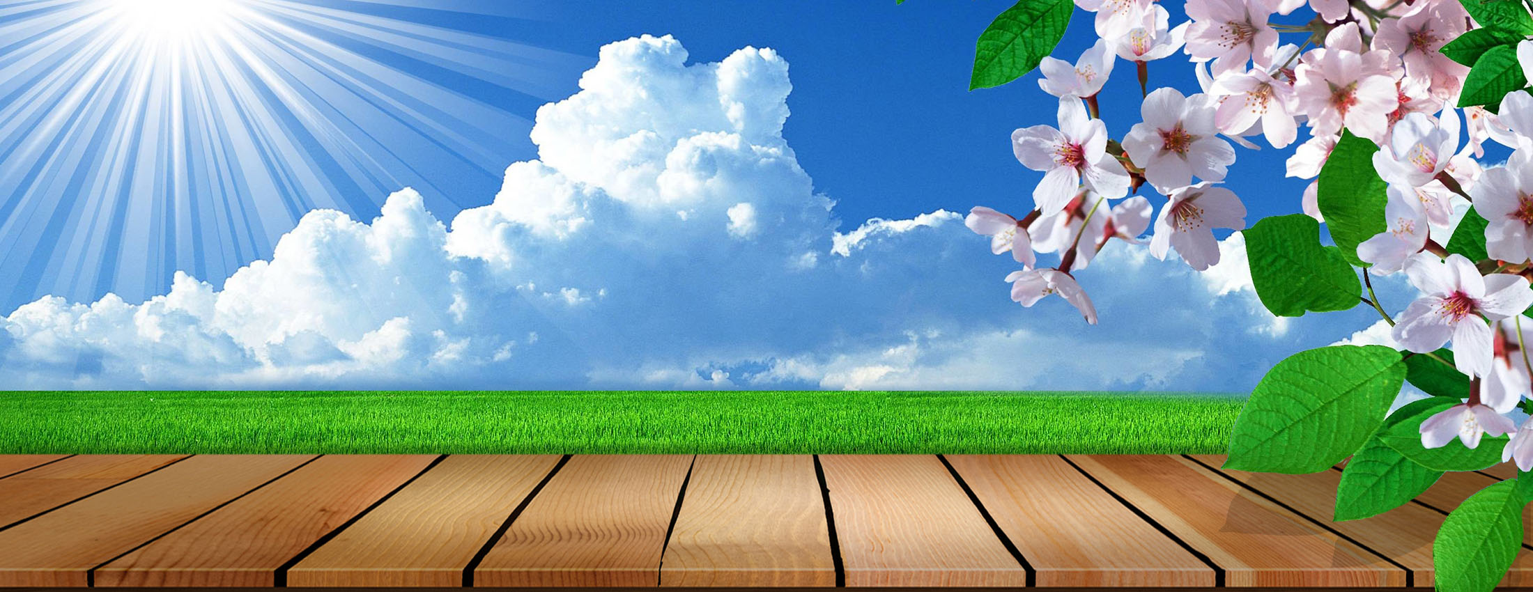 BTC_Spring-Banner